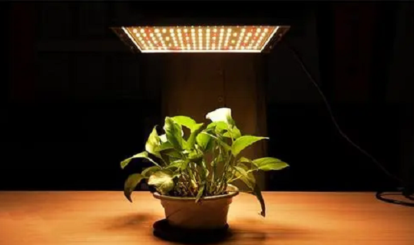 1000w grow  light for plant