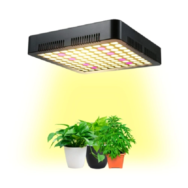 1000w grow  light for plant