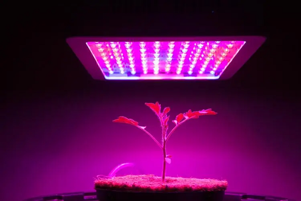 Why Is Aluminum LED PCB Important For Indoor Growth Lights?